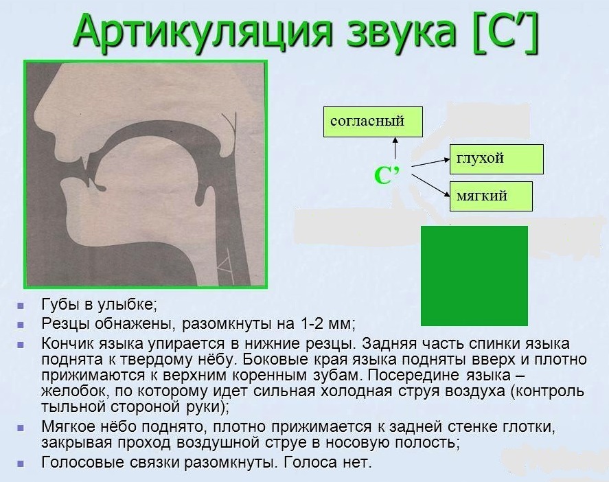 Артикуляция звука в для детей в картинках