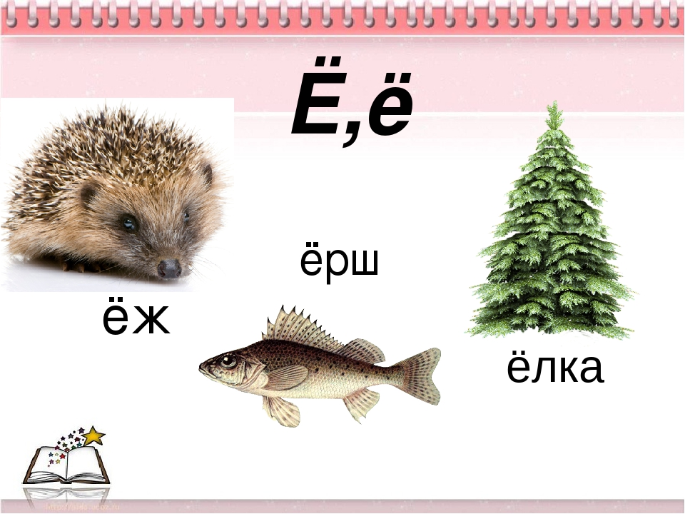 Существительные на букву е. Слова на букву е. Слова на букву е ё. Слова на букву е для детей. Слоги с буквой е.
