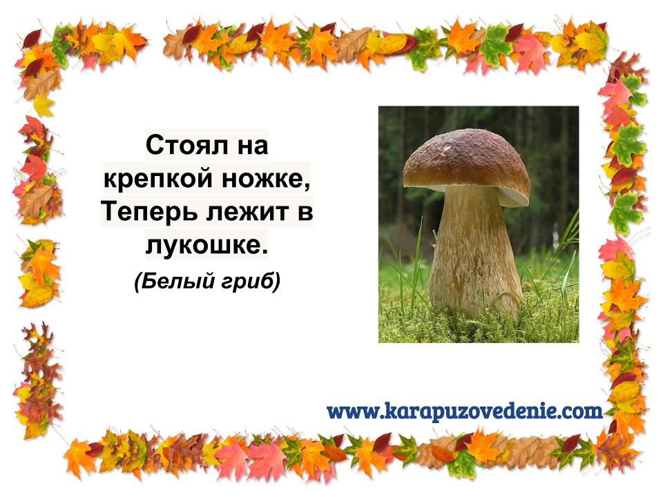 Загадки Про Грибы 2 Класс С Ответами