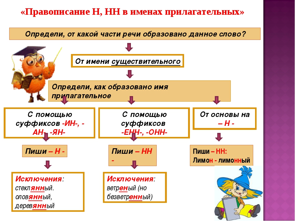 Правописание прилагательных 5 класс презентация