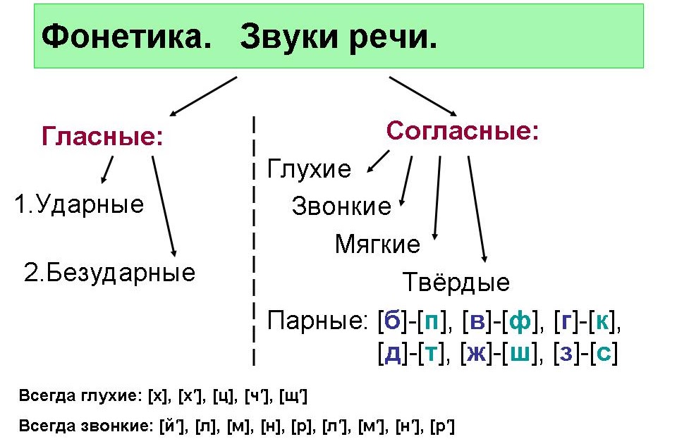 5 букв 5 звуков правильно