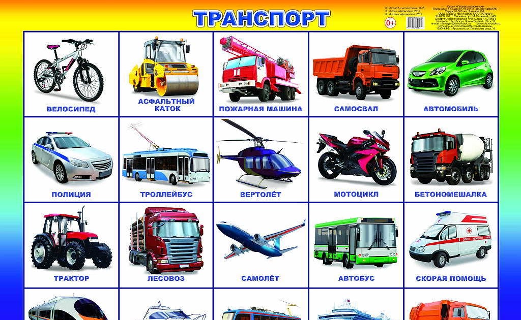 Все виды транспорта картинки для детей