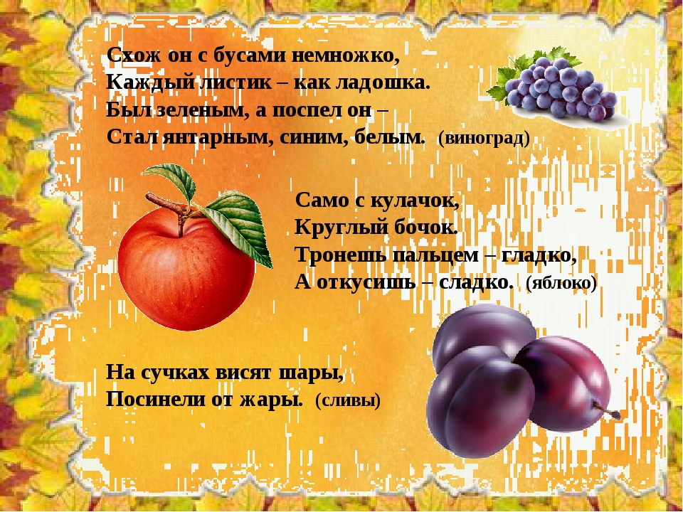 Осенние загадки для детей. Загадки на тему дары осени. Загадки про урожай. Загадки про осень. Загадки на тему урожай.