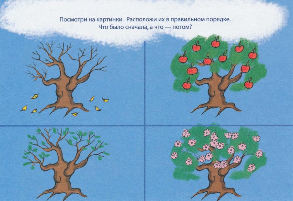 Картинки что сначала что потом для детей 5 6 лет