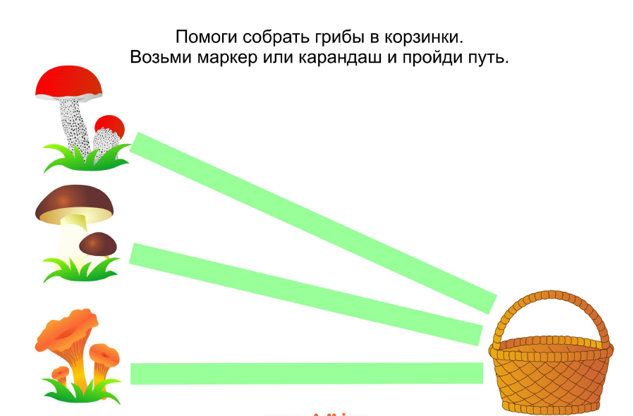 Задача про грибы 3 класс по математике со схемой