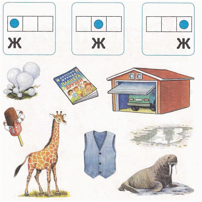 Картинки с буквой ж в начале слова в середине слова и в конце слова