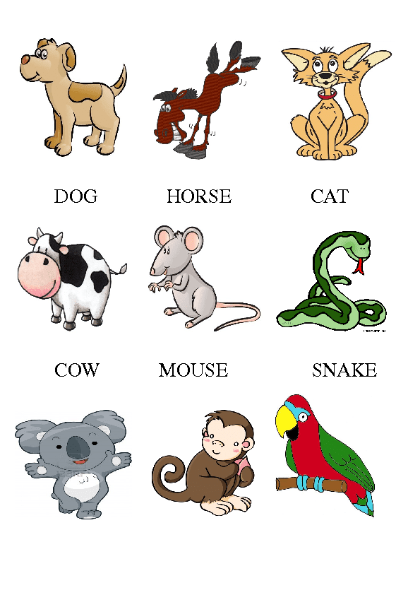 Учить названия животных. Животные на английском. Домашние животные по английскому. Названия животных на английском. Карточки животных на английском языке.