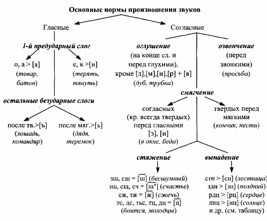 Составьте обобщающую схему звуки речи с классификацией звуков русской фонетики при этом укажите