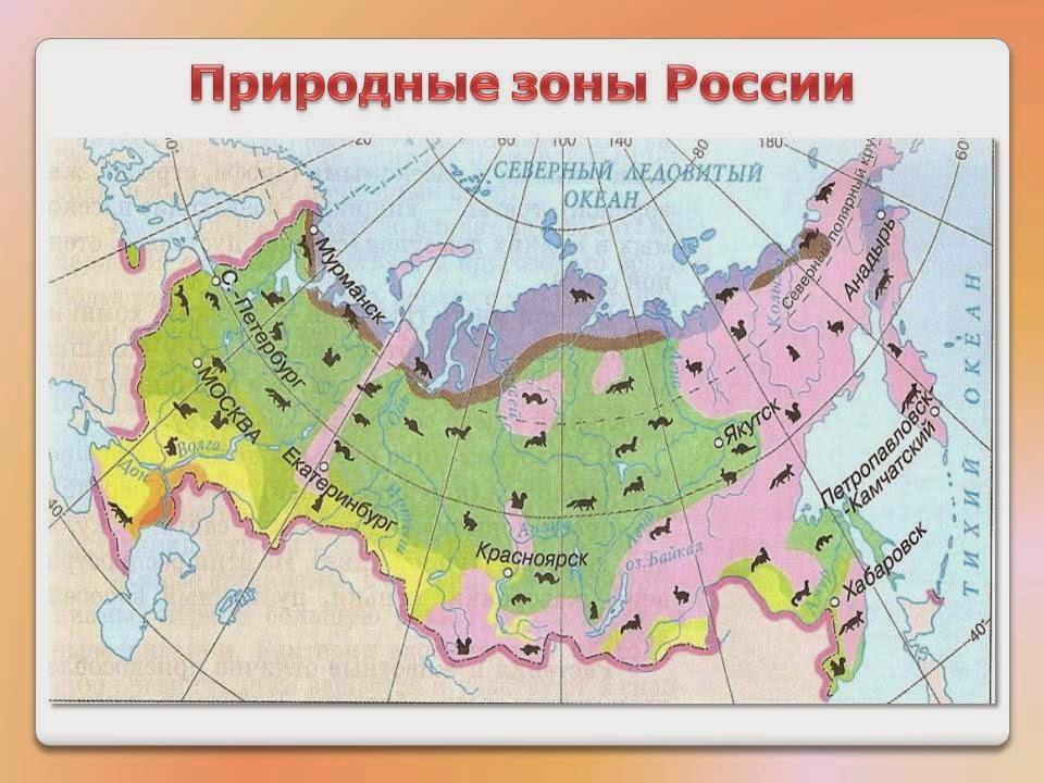 Карта природных зон россии 4 класс окружающий мир впр ответы