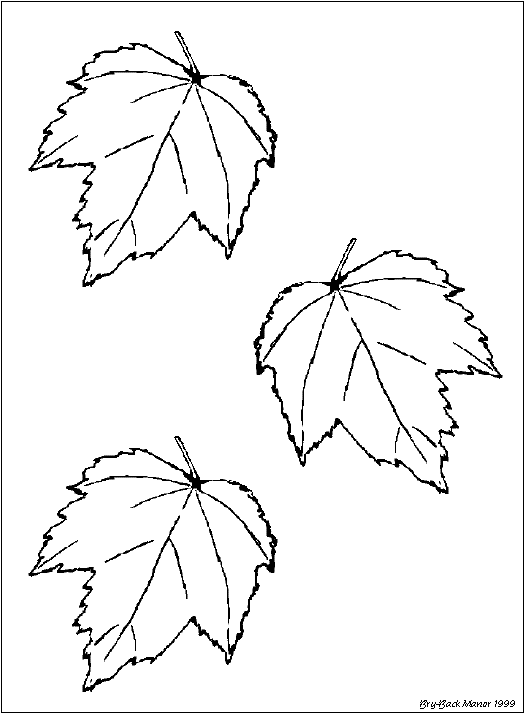 Шаблоны листьев березы для вырезания. Виноградный лист трафарет. Трафареты осенних листьев березы. Листочки осенние для распечатки. Раскраска осенний березовый лист.
