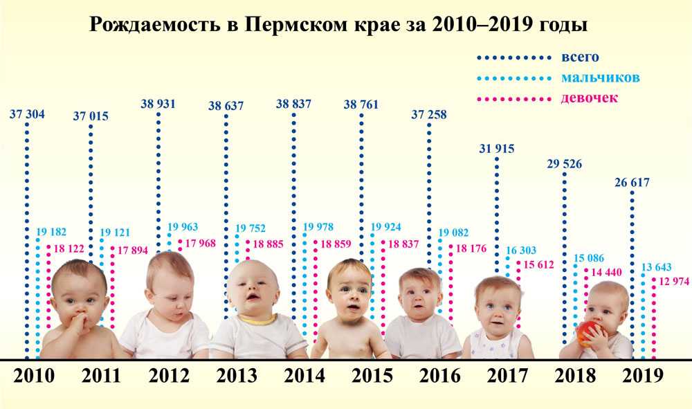 На рисунке изображено число родившихся мальчиков и девочек за каждый календарный месяц 2013 года