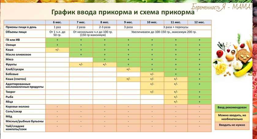 Первый прикорм при грудном вскармливании схема с 4 месяцев комаровский