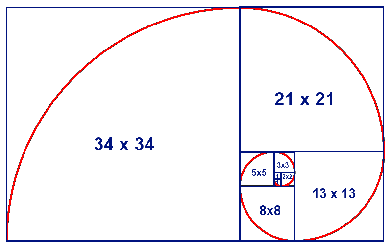 Квадрат фибоначчи. Спираль Фибоначчи золотое сечение. Число Фибоначчи золотое сечение. Фибоначчи улитка золотое сечение. Раковина улитки золотое сечение.