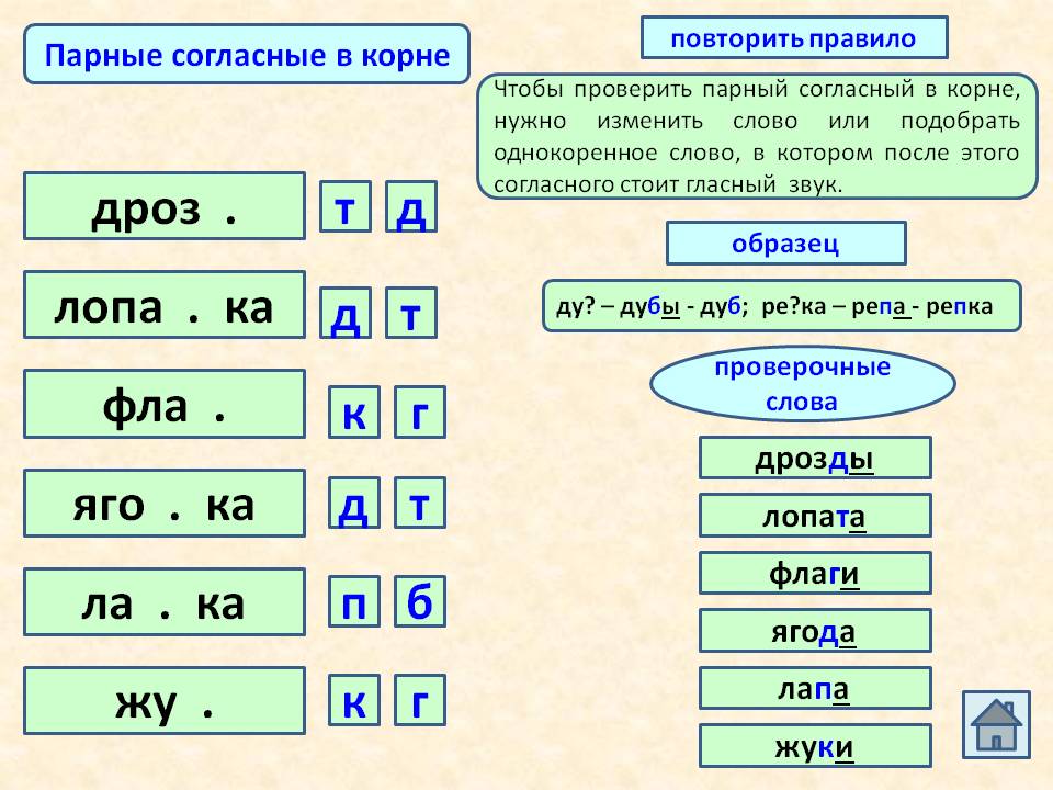 Подбери и запиши слова с парными согласными звуком в начале слова по образцу лист