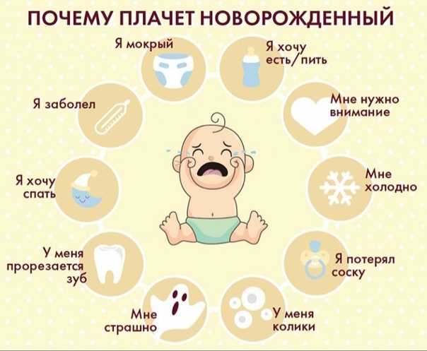 3 месяца ев. Режим новорожденного. Режим для новорожденного до 1 месяца. Режим дня у новорожденного до 1 месяца. Режим новорожденного в первый месяц.