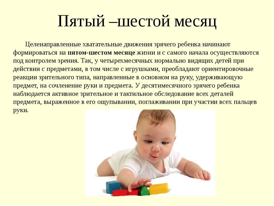 Развитие ребенка 6 лет 6 месяцев. 6 Месяцев ребенку развитие. Развитие ребёнка в 6 месяцев девочки. Что умеет ребёнок в 6. 6 Месяцев мальчику развитие.