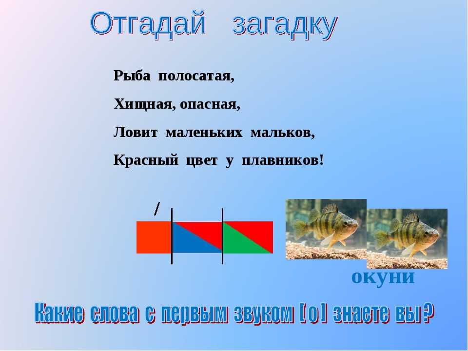 Слово окунь. Загадка про окуня. Загадка про окуня для детей. Загадки про рыб. Загадка про рыбу 2 класс.