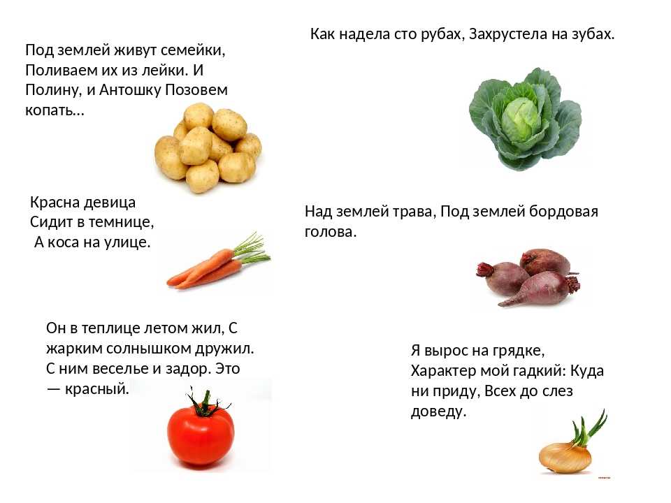 5 загадка для овощей