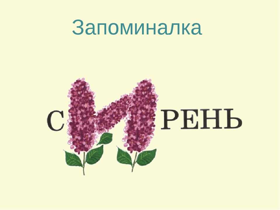 Слово рисунок это словарное слово