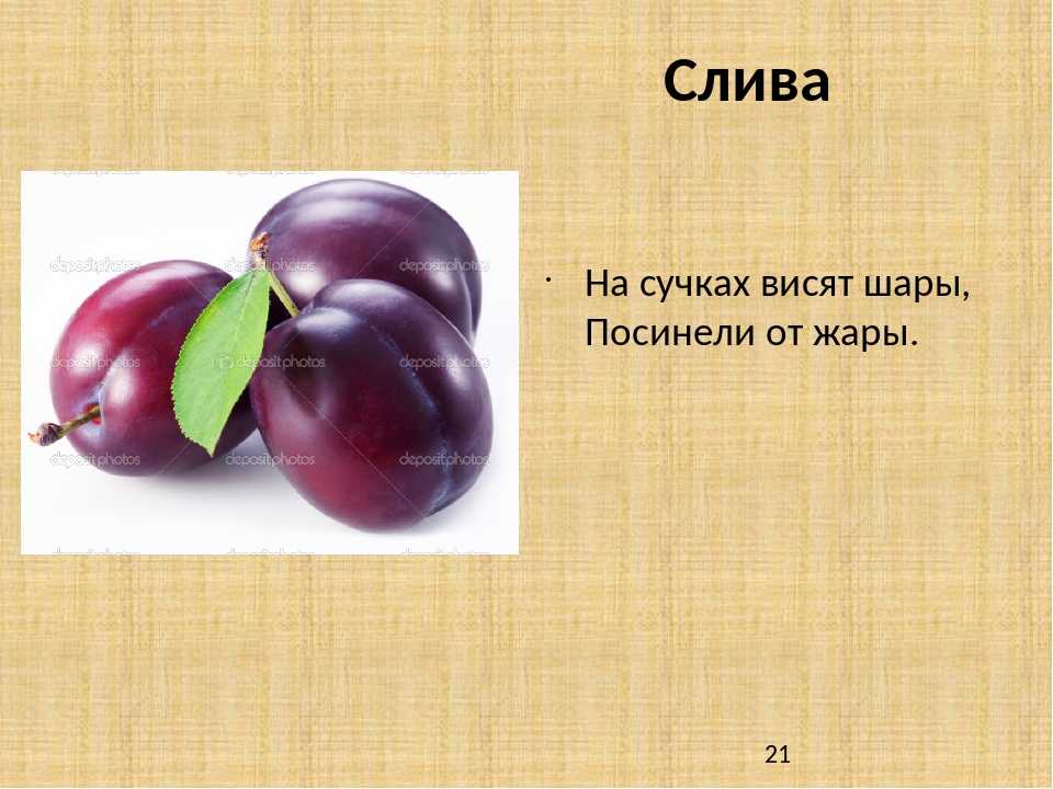 В слове сливовый. Загадка про сливу. Загадка про сливу для детей. Слива загадка. Загадка про сливы.