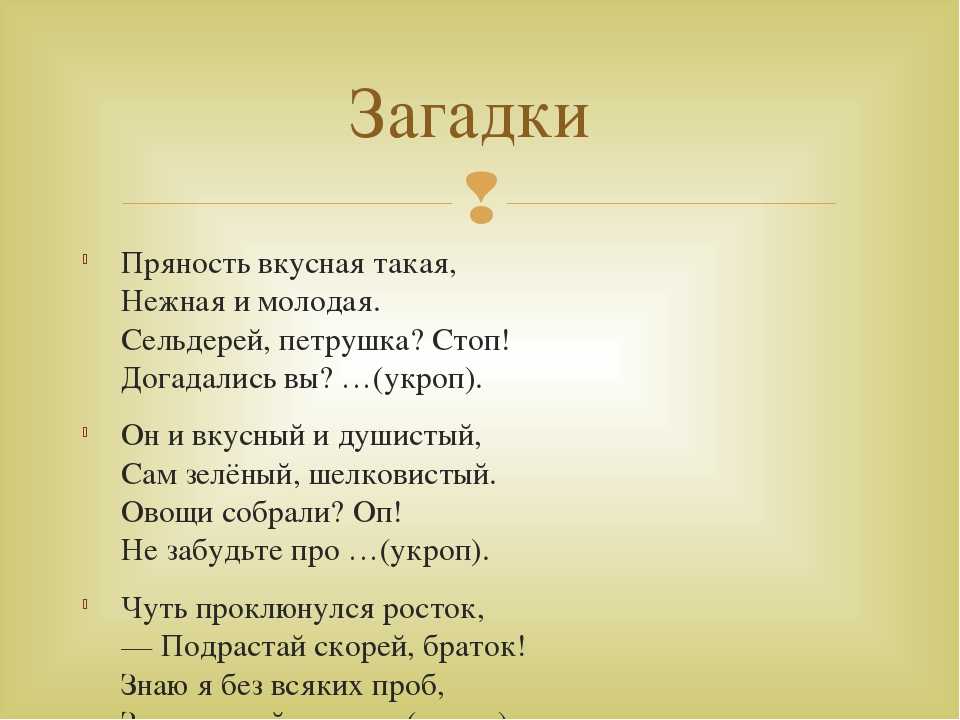 Загадка про картину. Загадка про петрушку. Загадка про укроп. Загадки про пряности. Загадка про петрушку для детей 5-6.