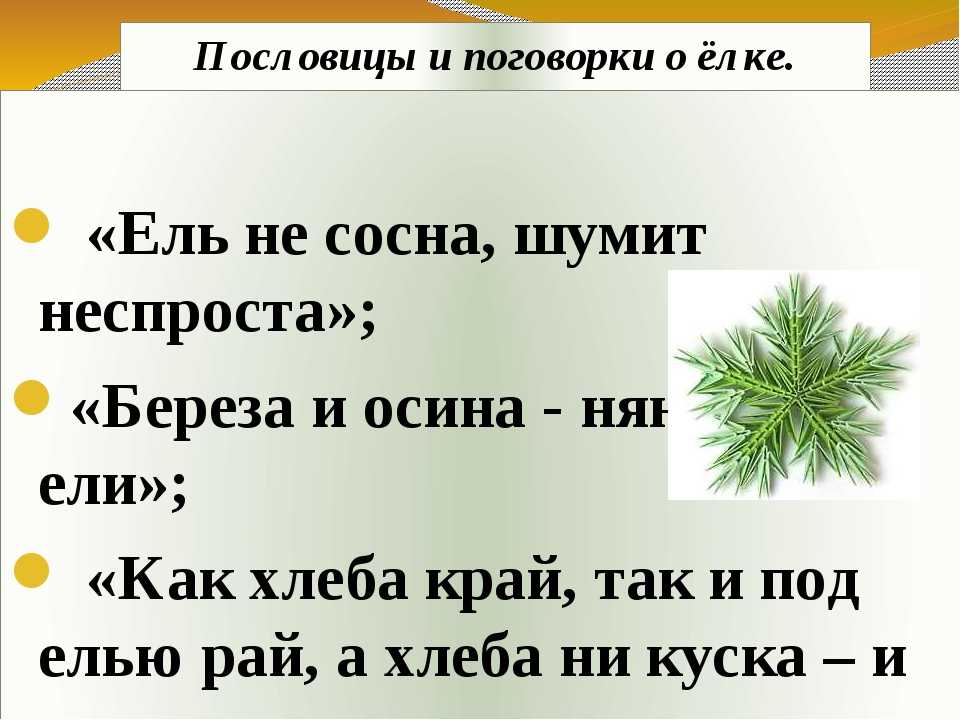 Ответ ель. Пословицы и поговорки про елку. Пословицы про елку. Поговорки про ёлку. Пословицы про елку для детей.