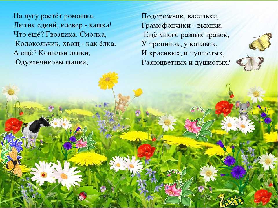 Нарисую лето стихи