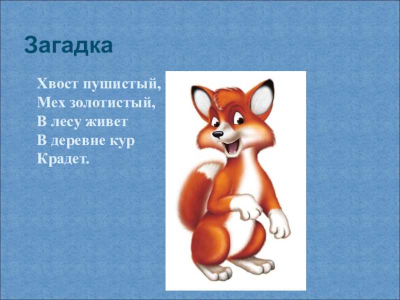 Загадки про лис. Загадка про лису. Загадка о лисе. Лиса загадка для детей. Загадка про лису для детей.