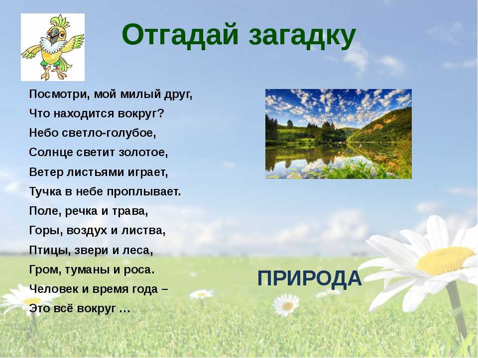 Родной край 1 класс начальная школа 21 века презентация