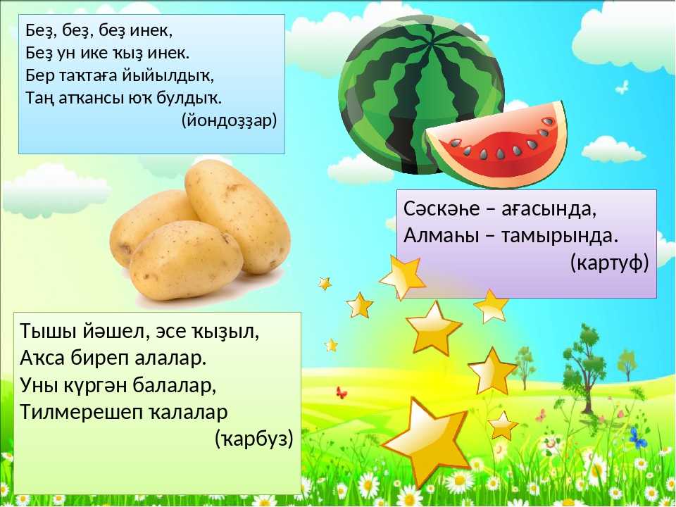 Табышмаклар дәрес планы