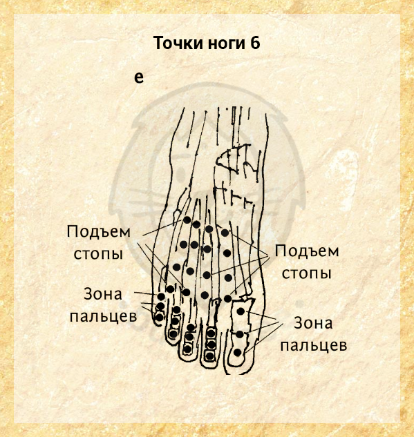 Нервные окончания человека схема на руках