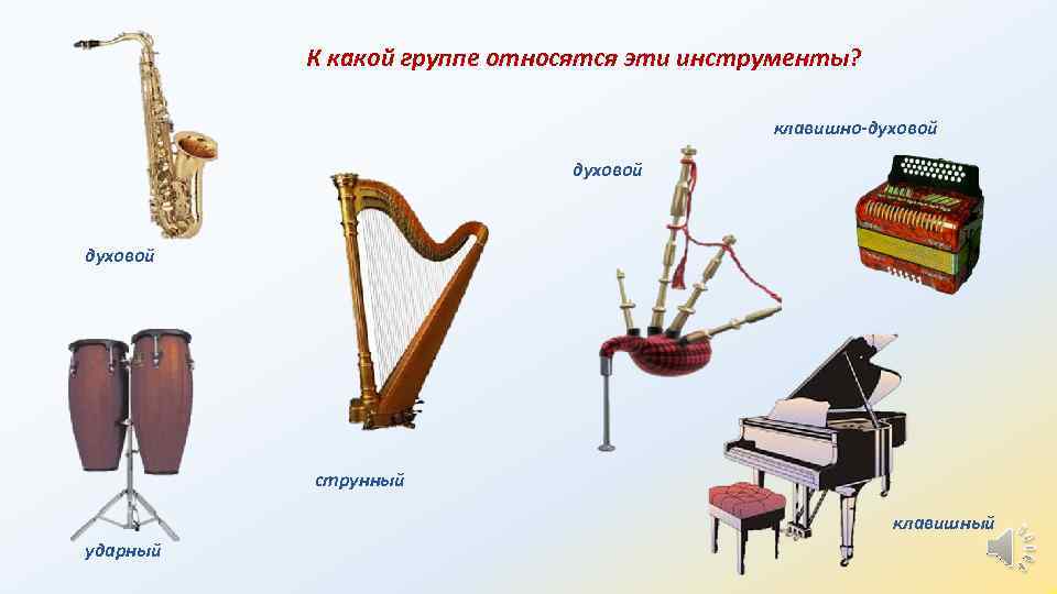 Духовые И Ударные Инструменты Картинки
