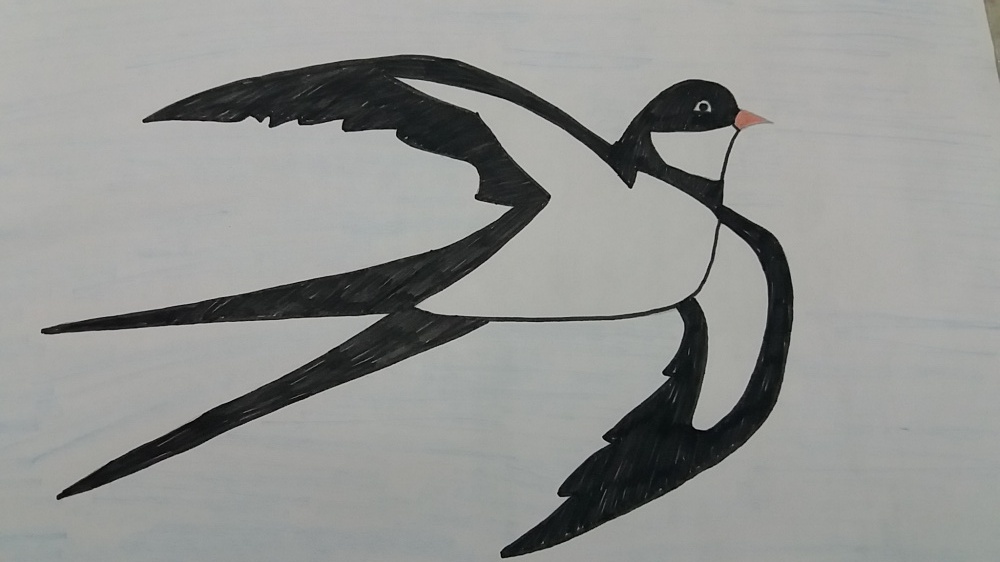 Как нарисовать ласточку для детей. Рисование перелетные птицы Ласточка. Рисование Ласточка. Ласточка рисунок. Нарисовать ласточку.