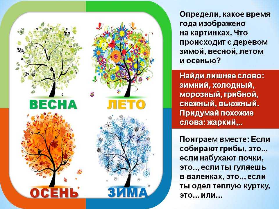 Проект мое любимое время года весна