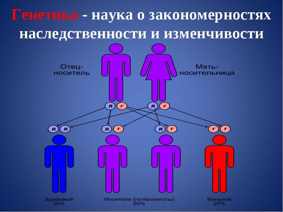 От ген зависит. Генетика человека. Наследственность человека. Наследование генетика. Генетика человека наследственность.