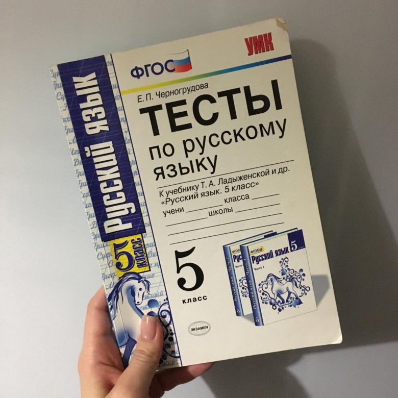 Дай тесты по русскому языку