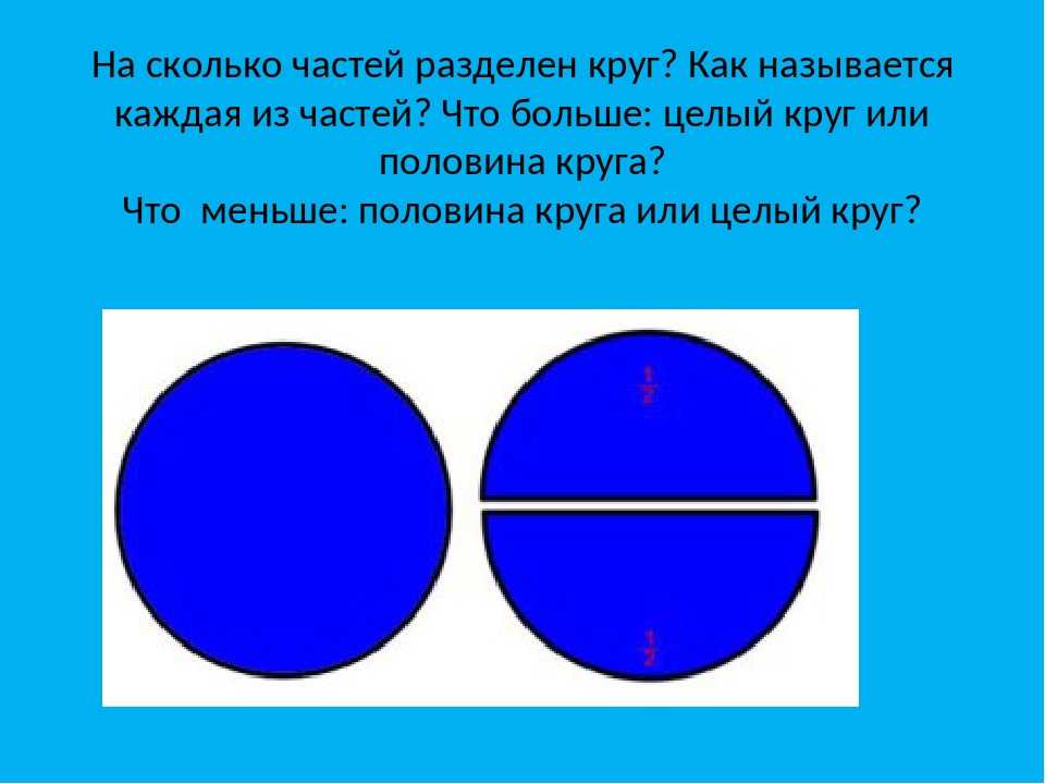 Сутки разделить на 4. Деление на две равные части. Деление целого на части. Деление круга на части. Деление круга на 2 равные части старшая группа.