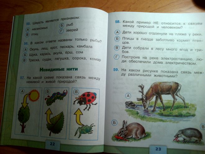 Окружающий мир плешаков проверочные работы ответы