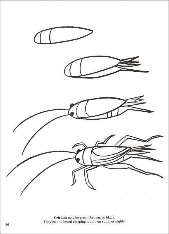Как нарисовать насекомых. Рисование с детьми насекомые. Схемы рисования насекомых. Пошаговое рисование насекомых. Схема рисования насекомых для детей.