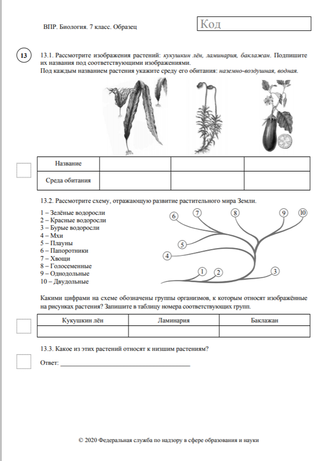 Решу впр биология 7 класс растения. ВПР по биологии 7 класс 2022 с ответами. Задания ВПР 7 класс биология. ВПР биология 10 класс 2022. ВПР по биологии за 8 класс 2022 с ответами.