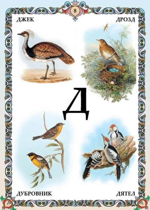 Птицы 6 букв фото с названиями