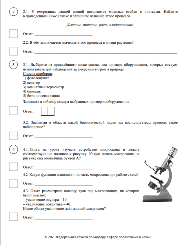 Впр по истории образец 6 класс ответы