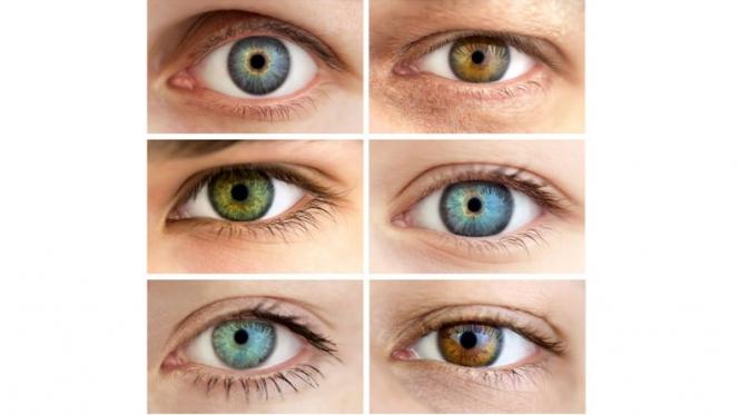 Какие цвета глаз бывают у людей с фото