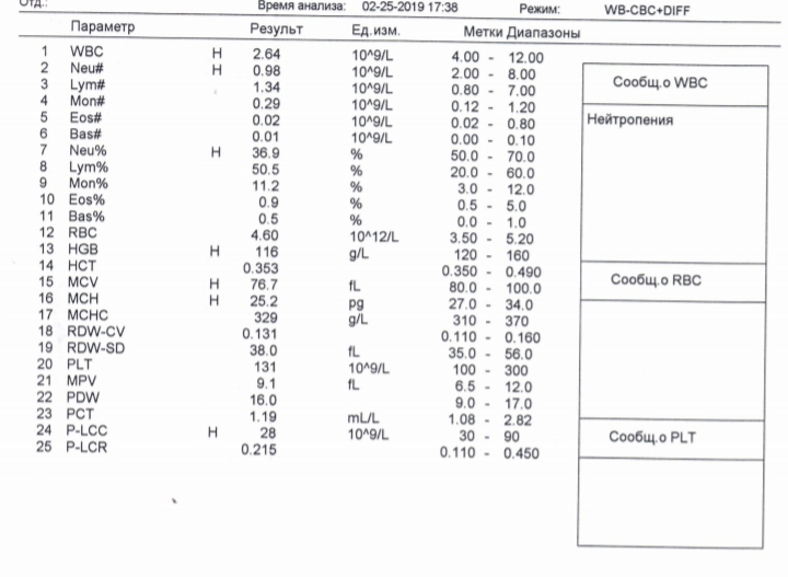 Plt норма у женщин. MCH В анализе крови. Норма LYM В крови у детей. MCH норма. WBC LYM В анализе крови.