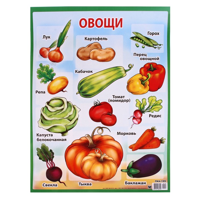 Учим овощи. Овощи. Плакат. Плакат овощи и фрукты. Обучающий плакат овощи. Развивающие плакаты.