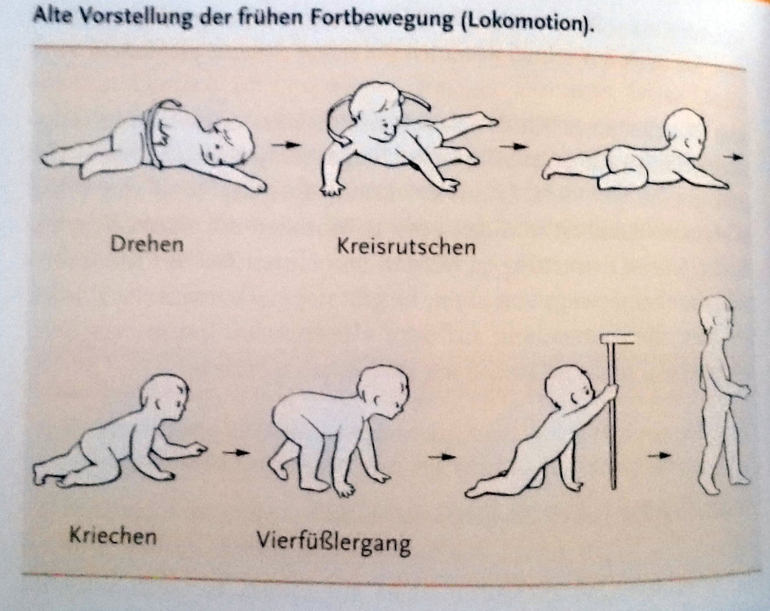 Как называли ребенка который начинал ползать. Этапы ползания ребенка. Нормы ползания на четвереньках по месяцам. Этапы ползания ребенка по месяцам. Нормы ползания ребенка на четвереньках.