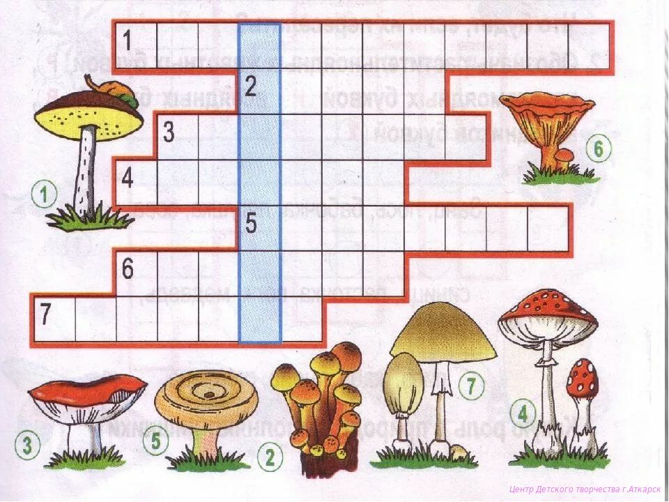 Игра биология ответы. Кроссворд про грибы. Кроссворд по грибам. Кроссворд про грибы для детей. Грибы задания для детей.