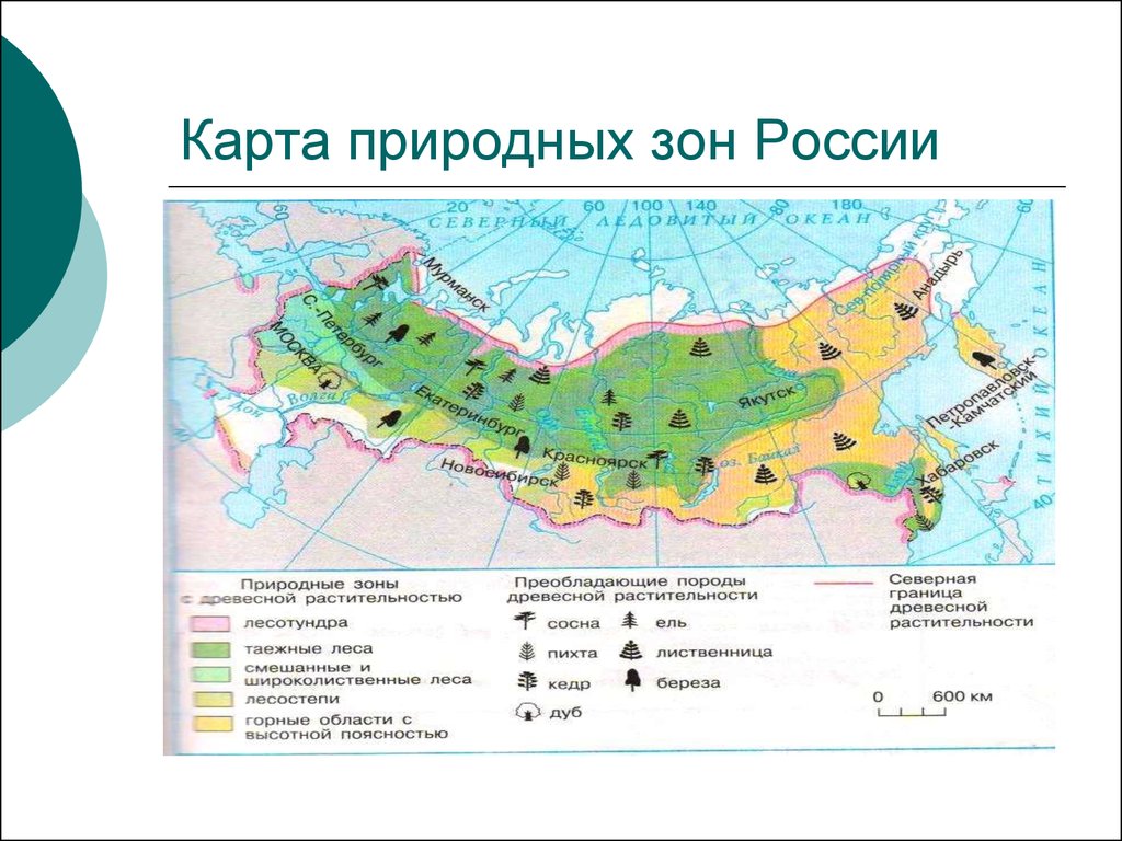 Карта животный мир 8 класс география