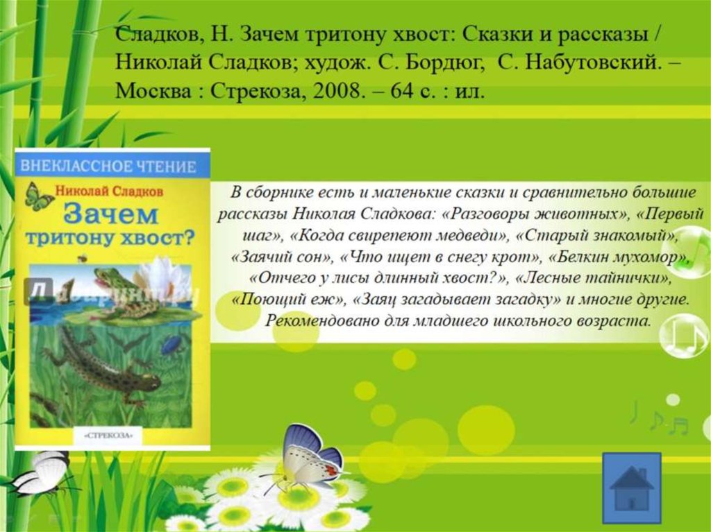 Сказки сладкова 2 класс. Лесные тайнички. Рассказы н.Сладкова читать 2 класс.