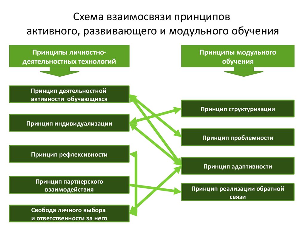 Принципы образования схема